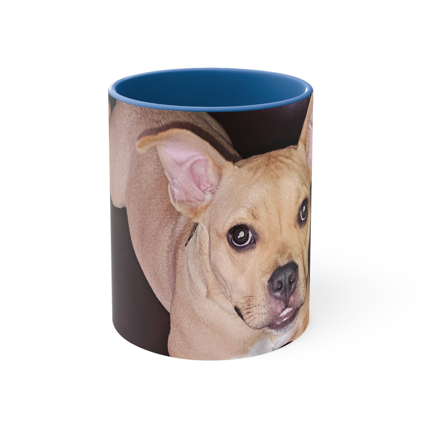 Cute Dog Accent Coffee Mug, 11oz