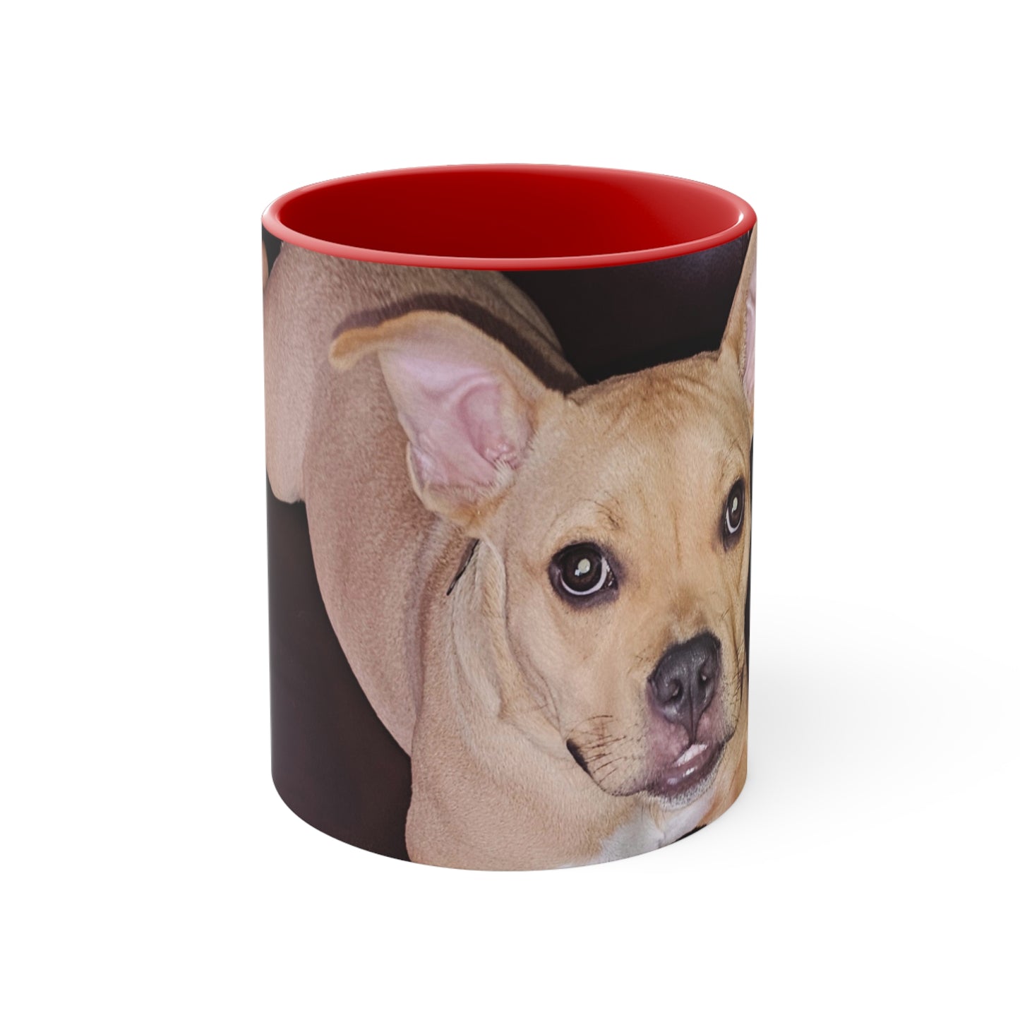 Cute Dog Accent Coffee Mug, 11oz