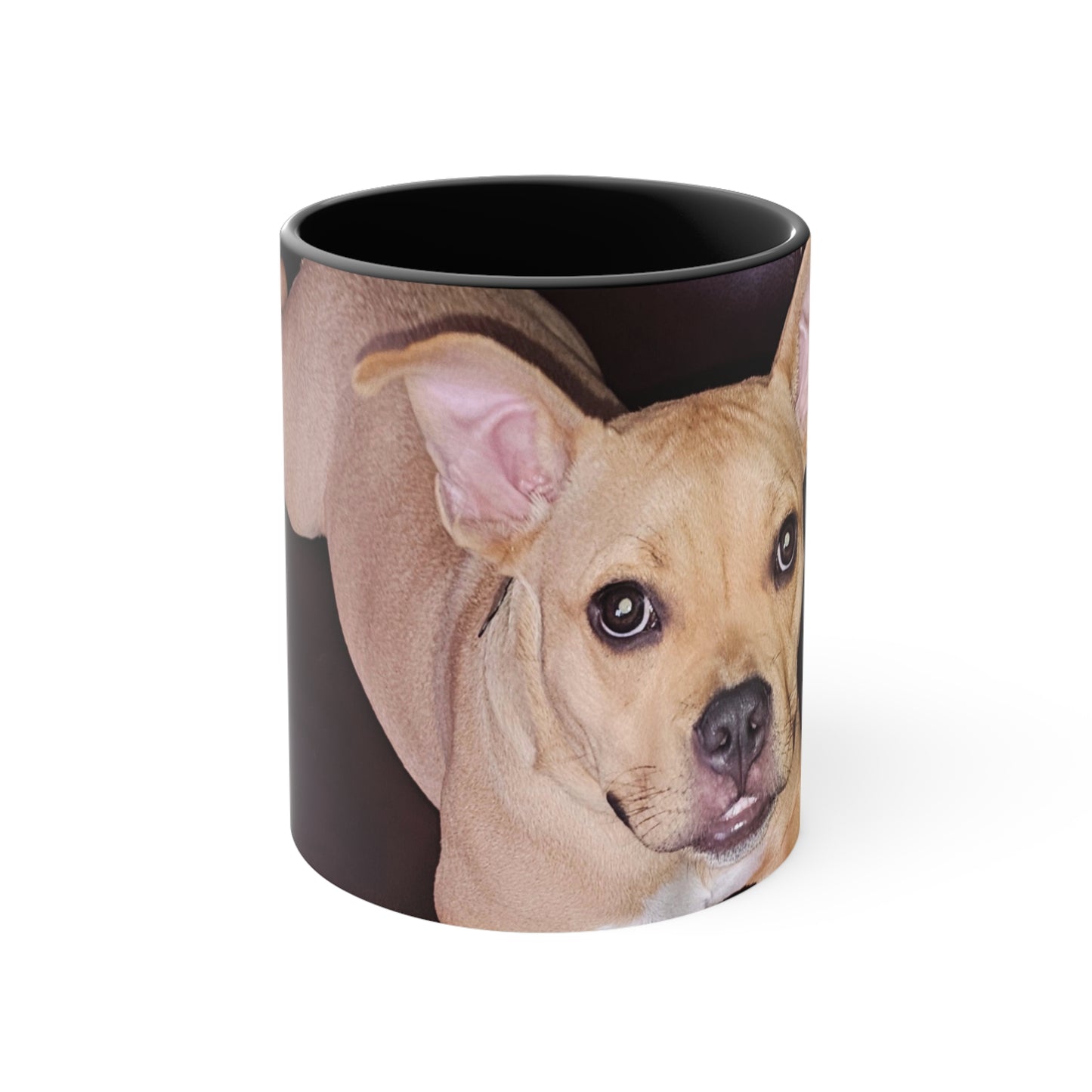 Cute Dog Accent Coffee Mug, 11oz